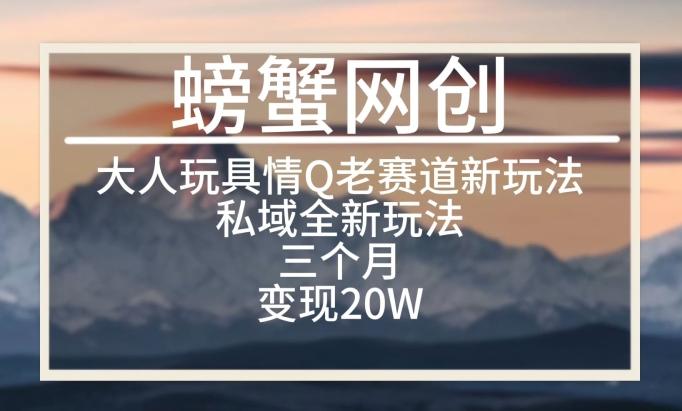大人玩具情Q用品赛道私域全新玩法，三个月变现20W，老项目新思路【揭秘】-南友云赚