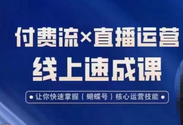 视频号付费流实操课程，付费流✖️直播运营速成课，让你快速掌握视频号核心运营技能-南友云赚