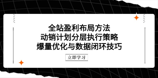全站盈利布局方法：动销计划分层执行策略，爆量优化与数据闭环技巧-南友云赚