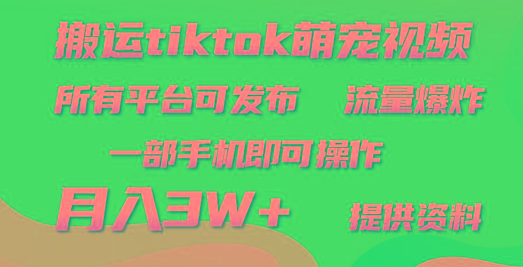 (9618期)搬运Tiktok萌宠类视频，一部手机即可。所有短视频平台均可操作，月入3W+-南友云赚