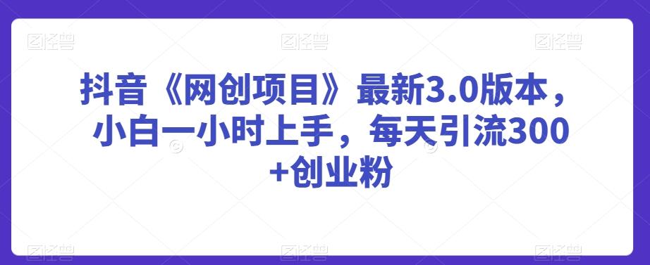 抖音《网创项目》最新3.0版本，小白一小时上手，每天引流300+创业粉【揭秘】-南友云赚