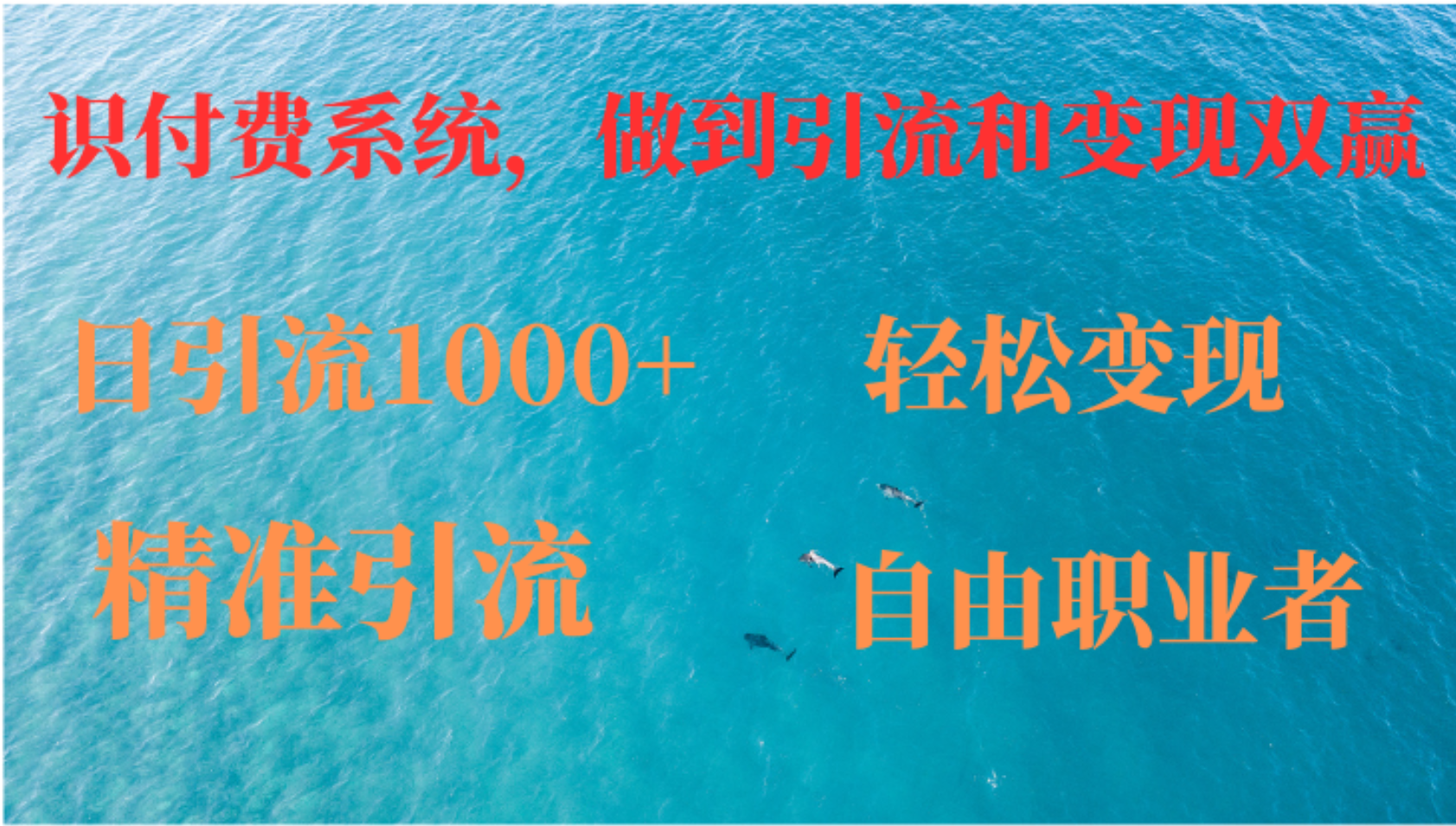 如何搭建自己的知识付费系统，做到引流和变现双赢-南友云赚