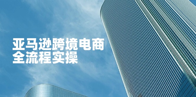 亚马逊跨境电商全流程实操，教你从零开始，掌握店铺运营与广告技巧-南友云赚