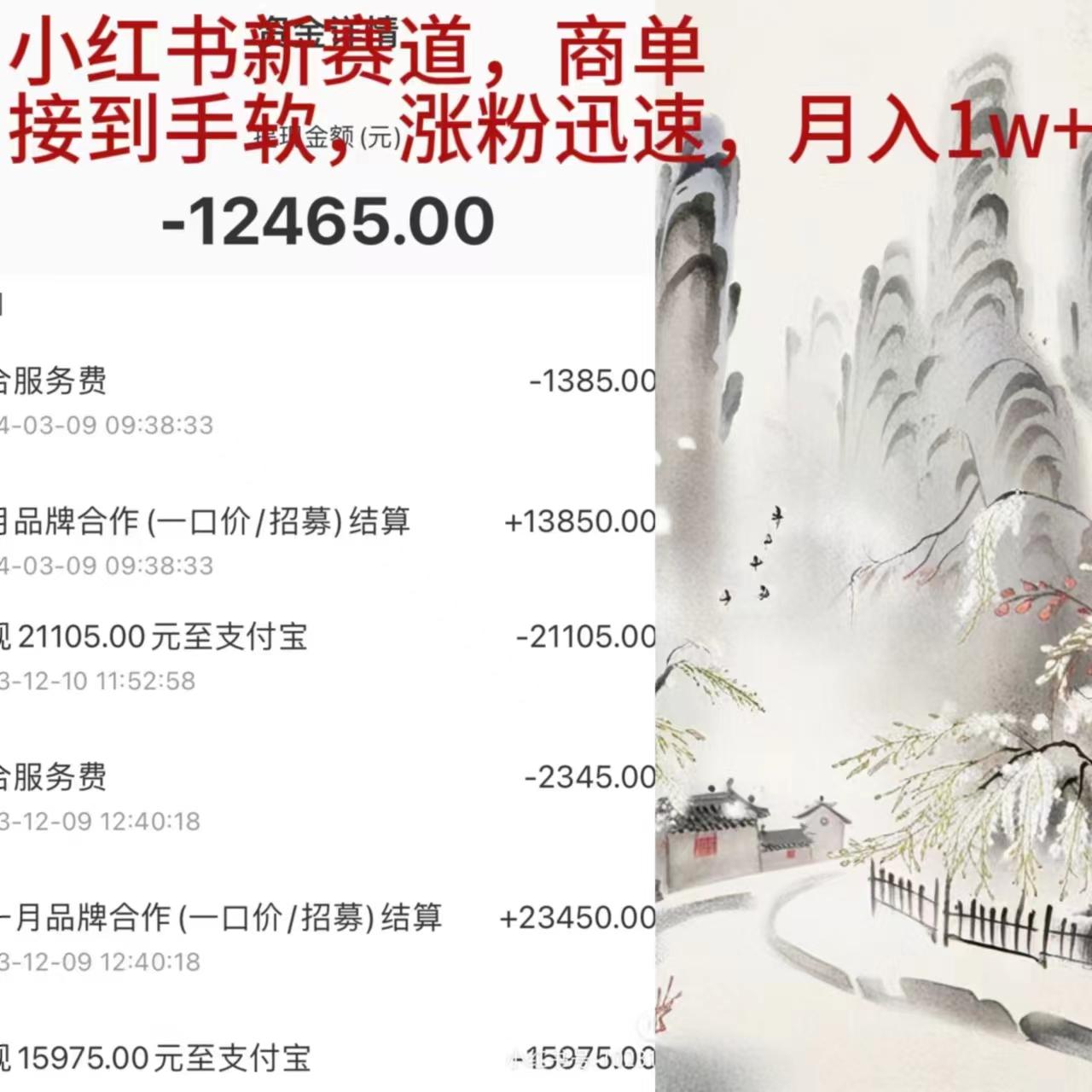 (9476期)小红书新赛道，商单接到手软，涨粉迅速，月入1w+-南友云赚