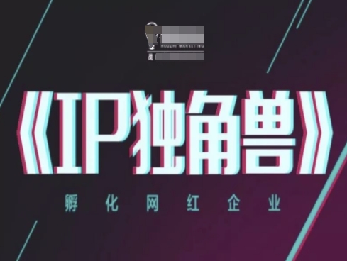 IP独角兽，孵化网红企业，ip教程-南友云赚