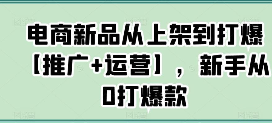 电商新品从上架到打爆【推广+运营】，新手从0打爆款-南友云赚