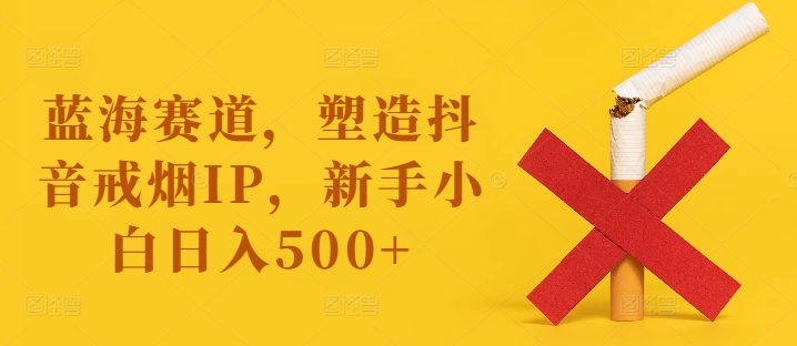 蓝海赛道，塑造抖音戒烟IP，新手小白日入500+【揭秘】-南友云赚