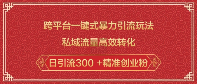 跨平台一键式暴力引流玩法，私域流量高效转化日引流300 +精准创业粉-南友云赚