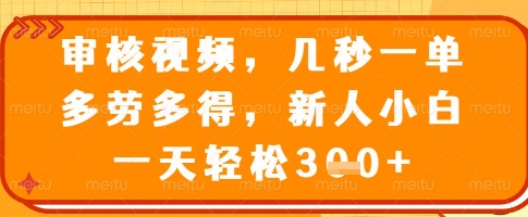 审核视频，几秒一单，多劳多得，新人小白一天轻松3张【揭秘】-南友云赚