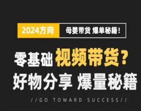 短视频母婴赛道实操流量训练营，零基础视频带货，好物分享，爆量秘籍-南友云赚