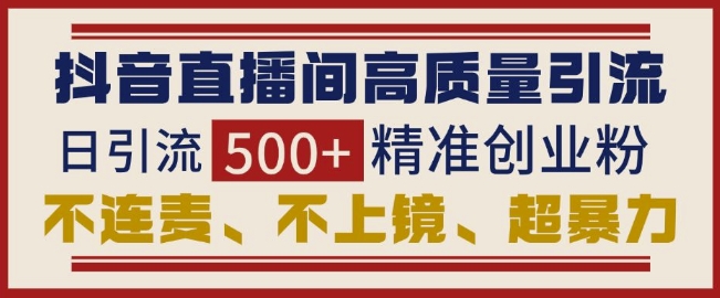 抖音直播间引流创业粉，无需连麦、不用上镜、超暴力，日引流500+高质量精准创业粉-南友云赚