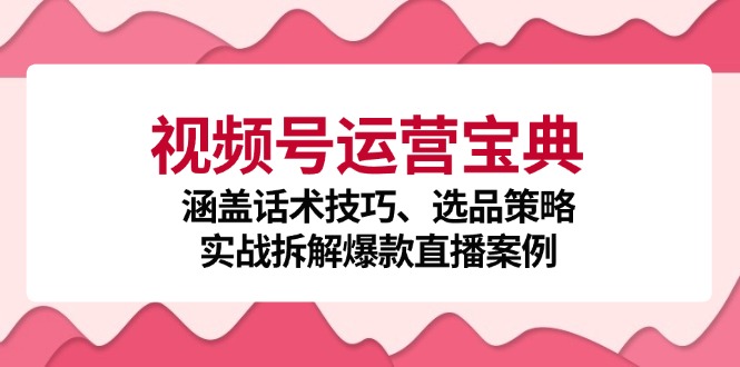 视频号运营宝典：涵盖话术技巧、选品策略、实战拆解爆款直播案例-南友云赚