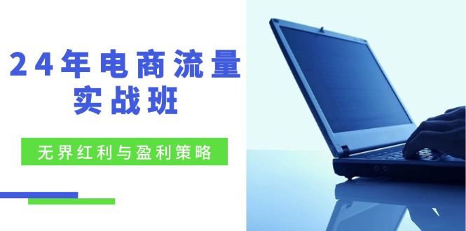24年电商流量实战班：无界 红利与盈利策略，终极提升/关键词优化/精准…-南友云赚