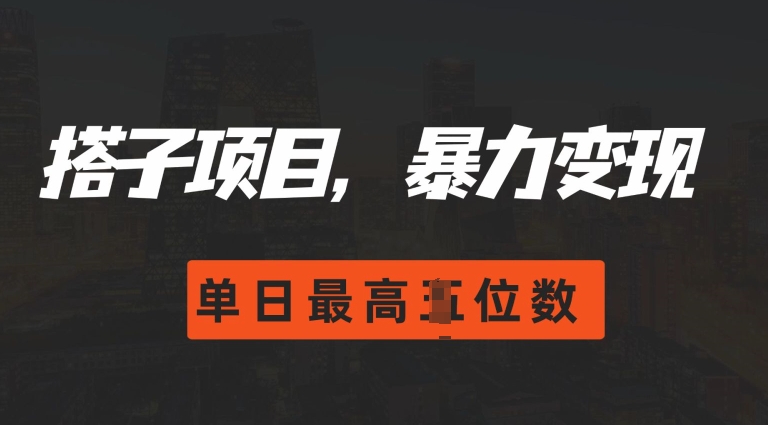 2024搭子玩法，0门槛，暴力变现，单日最高破四位数【揭秘】-南友云赚