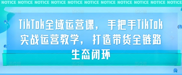 TikTok全域运营课，手把手TikTok实战运营教学，打造带货全链路生态闭环-南友云赚