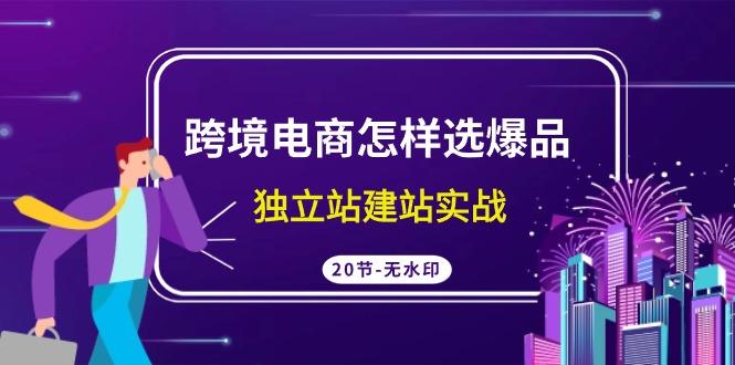 (9369期)跨境电商怎样选爆品，独立站建站实战(20节高清无水印课)-南友云赚