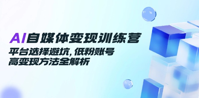 AI自媒体变现训练营，平台选择避坑，低粉账号高变现方法全解析-南友云赚