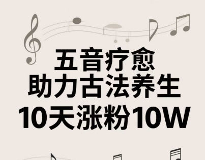 古法五音养生教程，五音疗愈的视频的制作方法，2-4小时就能学会，作者10天涨粉10W-南友云赚