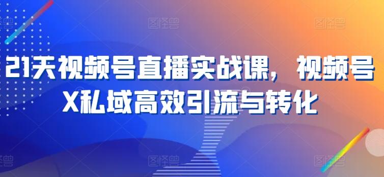 21天视频号直播实战课，视频号X私域高效引流与转化-南友云赚
