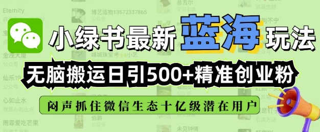 小绿书无脑搬运引流，全自动日引500精准创业粉，微信生态内又一个闷声发财的机会-南友云赚