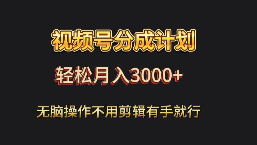 视频号流量分成，不用剪辑，有手就行，轻松月入2000+-南友云赚