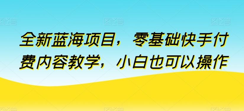 全新蓝海项目，零基础快手付费内容教学，小白也可以操作【揭秘】-南友云赚