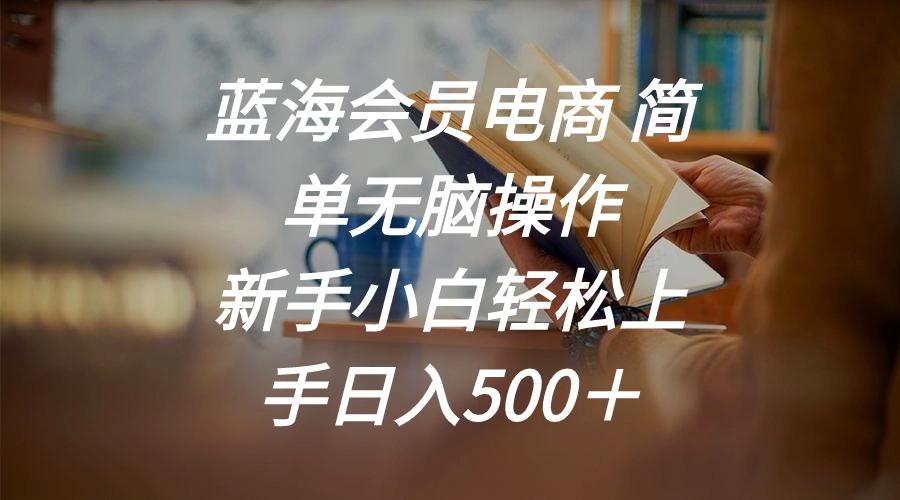 蓝海会员电商 简单无脑操作 新手小白轻松上手日入500＋-南友云赚