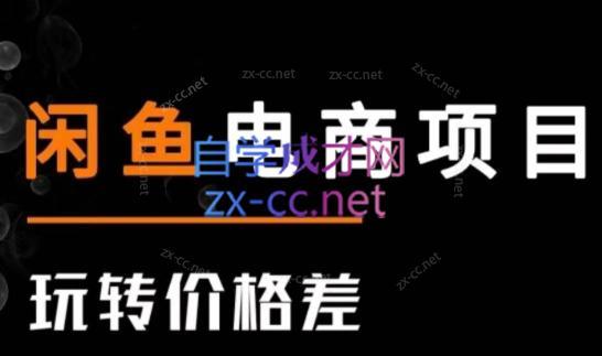 亿创繁星·闲鱼电商项目(玩转价格差)-南友云赚