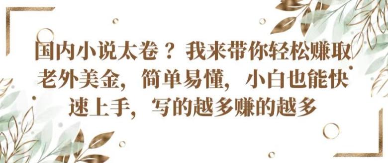 国内小说太卷 ?带你轻松赚取老外美金，简单易懂，小白也能快速上手，写的越多赚的越多【揭秘】-南友云赚