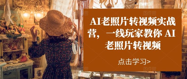AI老照片转视频实战营，一线玩家教你AI老照片转视频-南友云赚