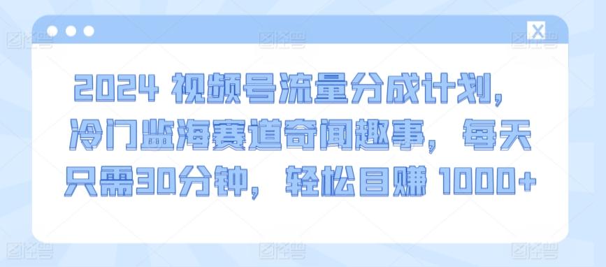 2024视频号流量分成计划，冷门监海赛道奇闻趣事，每天只需30分钟，轻松目赚 1000+【揭秘】-南友云赚