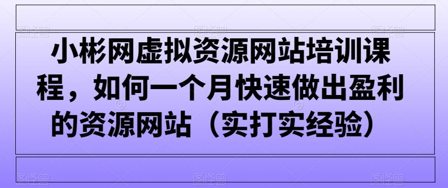小彬网虚拟资源网站培训课程，如何一个月快速做出盈利的资源网站(实打实经验)-南友云赚