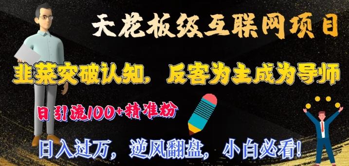天花板级互联网项目，韭菜突破认知，反客为主成为导师，日引流100+精准粉-南友云赚