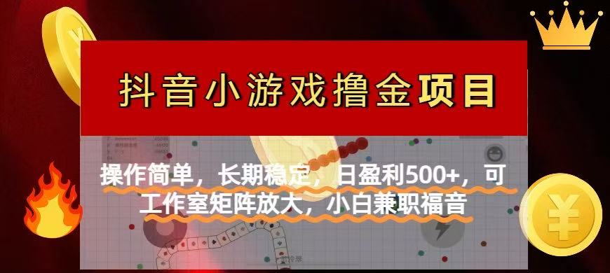 【抖音小游戏发行人计划项目】操作简单，长期稳定，日盈利500+，可工作…-南友云赚