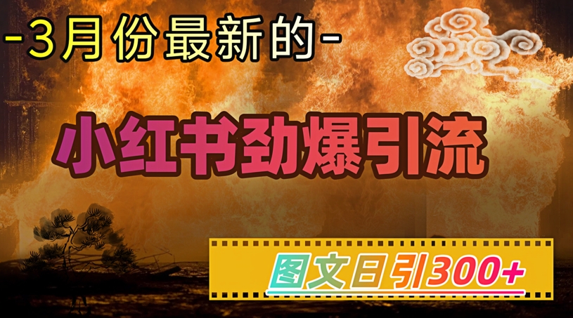 小红书超劲爆引流手段，图文日引300+轻松变现1W-南友云赚
