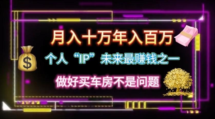 个人“ip”月入10w，年入100w-南友云赚