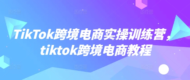 TikTok跨境电商实操训练营，tiktok跨境电商教程-南友云赚