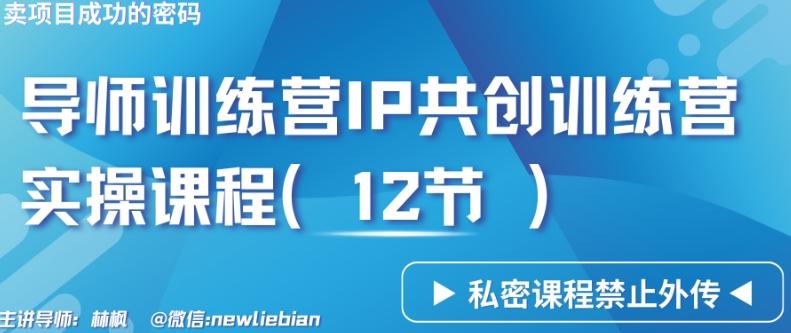 导师训练营3.0IP共创训练营私密实操课程(12节)-卖项目的密码成功秘诀【揭秘】-南友云赚