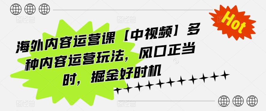 海外内容运营课【中视频】多种内容运营玩法，风口正当时，掘金好时机-南友云赚