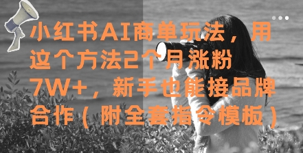 小红书AI商单玩法，用这个方法2个月涨粉7W+，新手也能接品牌合作(附全套指令模板)-南友云赚