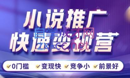洲洲老师·小说推广快速变现营-南友云赚