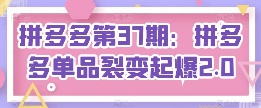 拼多多第37期：拼多多单品裂变起爆2.0-南友云赚