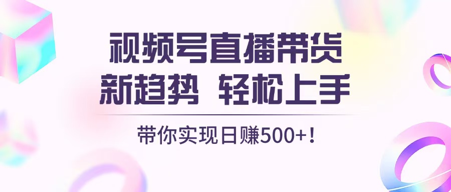 视频号直播带货新趋势，轻松上手，带你实现日赚500+-南友云赚
