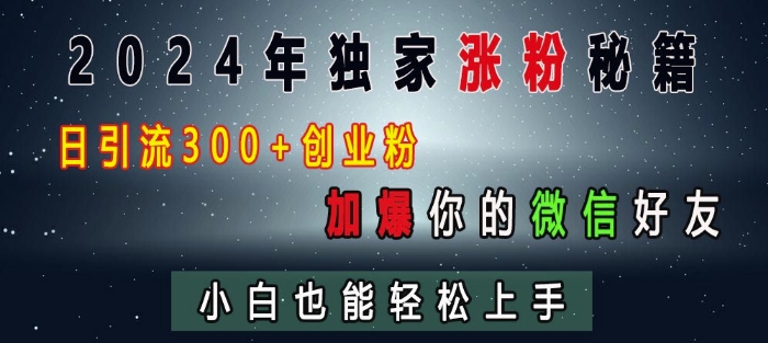 2024年独家涨粉秘籍，日引流300+创业粉，加爆你的微信好友，小白也能轻松上手-南友云赚