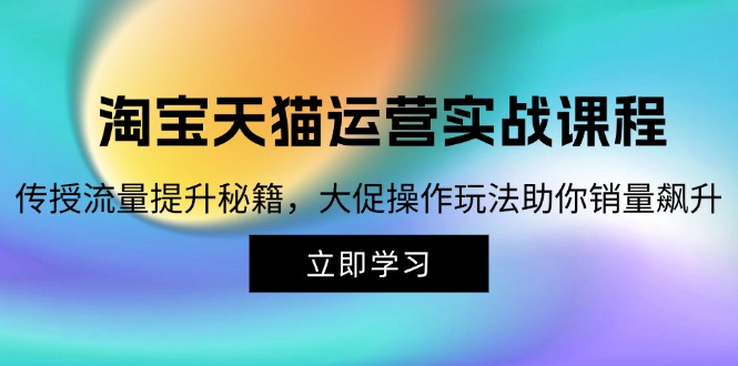 淘宝&天猫运营实战课程，传授流量提升秘籍，大促操作玩法助你销量飙升-南友云赚