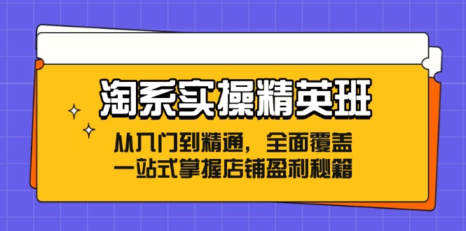 淘系实操精英班：从入门到精通，全面覆盖，一站式掌握店铺盈利秘籍-南友云赚