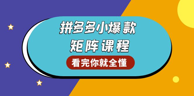 拼多多爆款矩阵课程：教你测出店铺爆款，优化销量，提升GMV，打造爆款群-南友云赚