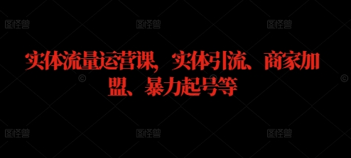 实体流量运营课，实体引流、商家加盟、暴力起号等-南友云赚
