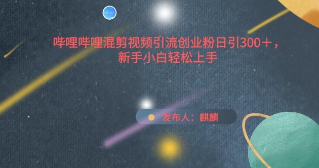 哔哩哔哩混剪视频引流创业粉日引300+，新手小白轻松上手【揭秘】-南友云赚