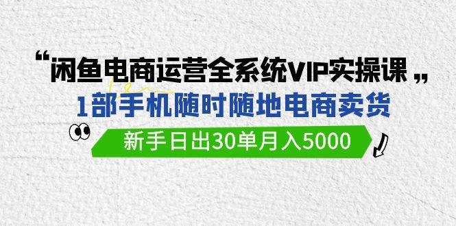 (9547期)闲鱼电商运营全系统VIP实战课，1部手机随时随地卖货，新手日出30单月入5000-南友云赚